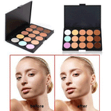 15 Colors Makeup Contour Face Cream Concealer Palette Professional + 20 BRUSH SP